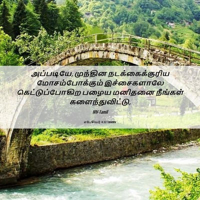 Picture 06 - எபேசியர் 4:22 TAMIRV - அப்படியே, முந்தின - Bible Verse Picture