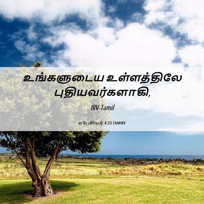 Picture 06 - எபேசியர் 4:23 TAMIRV - உங்களுடைய - Bible Verse Picture
