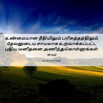 Picture 06 - எபேசியர் 4:24 TAMIRV - உண்மையான - Bible Verse Picture
