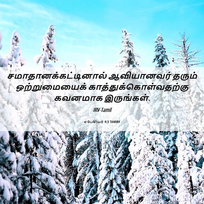 Picture 06 - எபேசியர் 4:3 TAMIRV -  - Bible Verse Picture