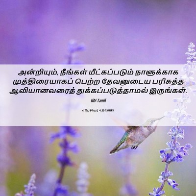 Picture 06 - எபேசியர் 4:30 TAMIRV - அன்றியும், - Bible Verse Picture