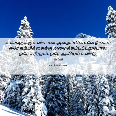 Picture 06 - எபேசியர் 4:4 TAMIRV - உங்களுக்கு உண்டான - Bible Verse Picture