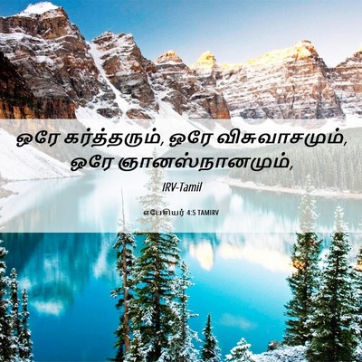 Picture 06 - எபேசியர் 4:5 TAMIRV - ஒரே கர்த்தரும், - Bible Verse Picture