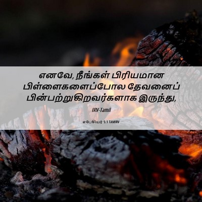 Picture 06 - எபேசியர் 5:1 TAMIRV - எனவே, நீங்கள் - Bible Verse Picture