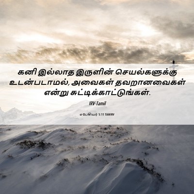 Picture 06 - எபேசியர் 5:11 TAMIRV - கனி இல்லாத - Bible Verse Picture