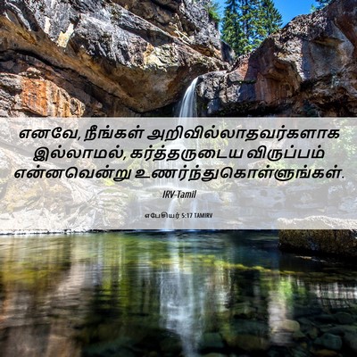 Picture 06 - எபேசியர் 5:17 TAMIRV - எனவே, நீங்கள் - Bible Verse Picture
