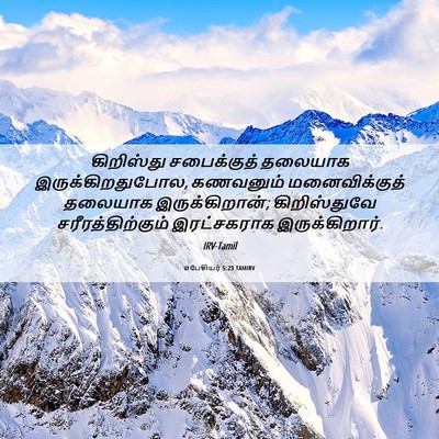 Picture 06 - எபேசியர் 5:23 TAMIRV - கிறிஸ்து - Bible Verse Picture
