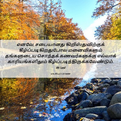 Picture 06 - எபேசியர் 5:24 TAMIRV - எனவே, சபையானது - Bible Verse Picture