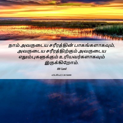 Picture 06 - எபேசியர் 5:30 TAMIRV - நாம் அவருடைய - Bible Verse Picture