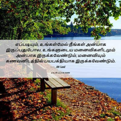 Picture 06 - எபேசியர் 5:33 TAMIRV - எப்படியும், - Bible Verse Picture