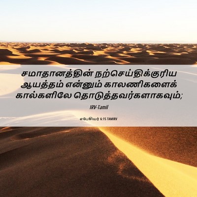 Picture 06 - எபேசியர் 6:15 TAMIRV - சமாதானத்தின் - Bible Verse Picture