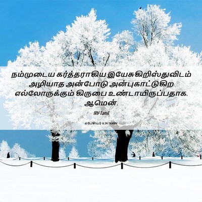 Picture 06 - எபேசியர் 6:24 TAMIRV - நம்முடைய - Bible Verse Picture
