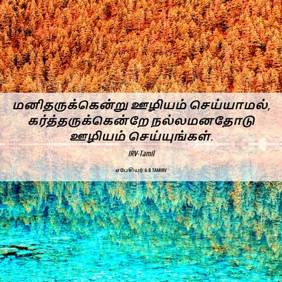 Picture 06 - எபேசியர் 6:8 TAMIRV - மனிதருக்கென்று - Bible Verse Picture