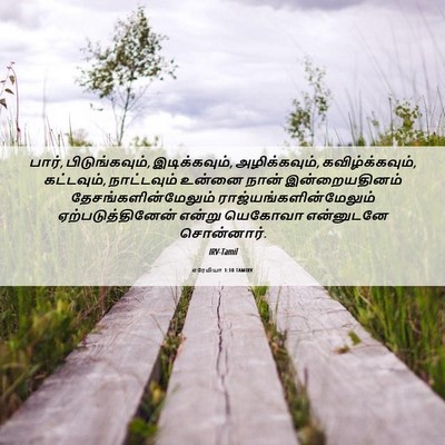 Picture 06 - எரேமியா 1:10 TAMIRV - பார், பிடுங்கவும், - Bible Verse Picture