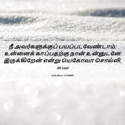 Picture 06 - எரேமியா 1:8 TAMIRV - நீ அவர்களுக்குப் - Bible Verse Picture