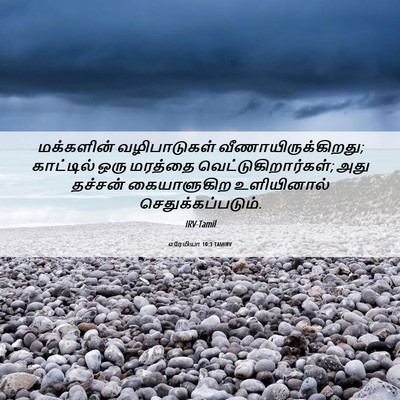 Picture 06 - எரேமியா 10:3 TAMIRV - மக்களின் - Bible Verse Picture