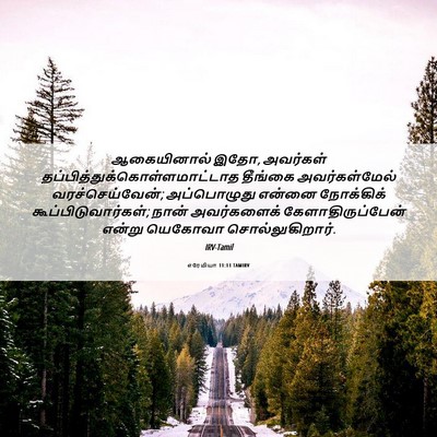Picture 06 - எரேமியா 11:11 TAMIRV - ஆகையினால் இதோ, - Bible Verse Picture