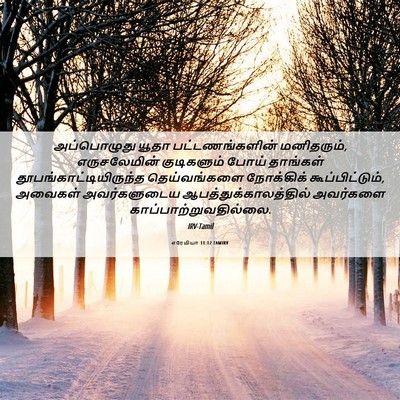 Picture 06 - எரேமியா 11:12 TAMIRV - அப்பொழுது யூதா - Bible Verse Picture