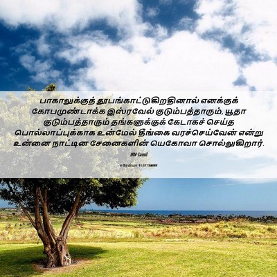 Picture 06 - எரேமியா 11:17 TAMIRV - பாகாலுக்குத் - Bible Verse Picture