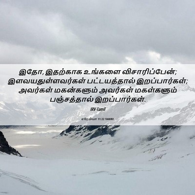 Picture 06 - எரேமியா 11:22 TAMIRV - இதோ, இதற்காக - Bible Verse Picture