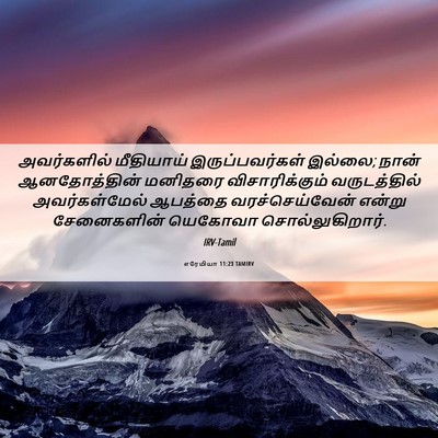 Picture 06 - எரேமியா 11:23 TAMIRV - அவர்களில் - Bible Verse Picture