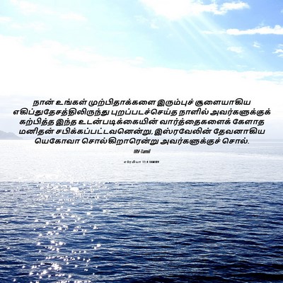 Picture 06 - எரேமியா 11:4 TAMIRV - நான் உங்கள் - Bible Verse Picture