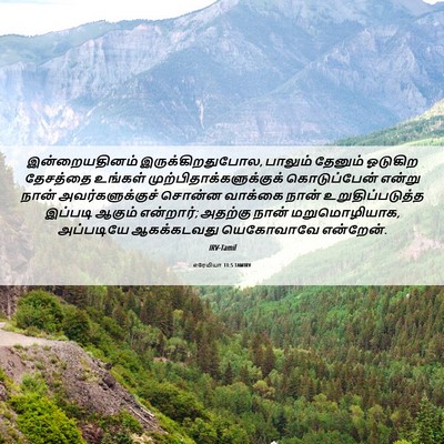 Picture 06 - எரேமியா 11:5 TAMIRV - இன்றையதினம் - Bible Verse Picture