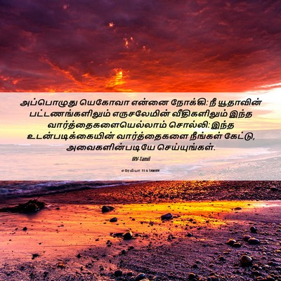 Picture 06 - எரேமியா 11:6 TAMIRV - அப்பொழுது யெகோவா - Bible Verse Picture