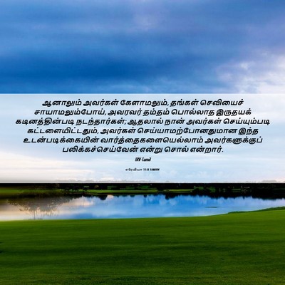 Picture 06 - எரேமியா 11:8 TAMIRV - ஆனாலும் அவர்கள் - Bible Verse Picture