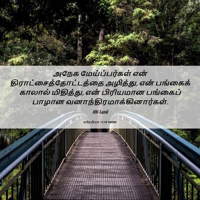 Picture 06 - எரேமியா 12:10 TAMIRV - அநேக மேய்ப்பர்கள் - Bible Verse Picture