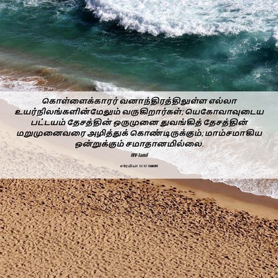 Picture 06 - எரேமியா 12:12 TAMIRV - கொள்ளைக்காரர் - Bible Verse Picture