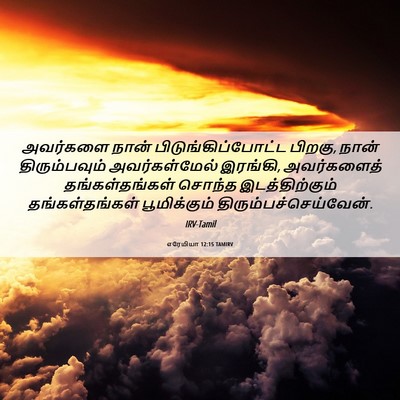 Picture 06 - எரேமியா 12:15 TAMIRV - அவர்களை நான் - Bible Verse Picture