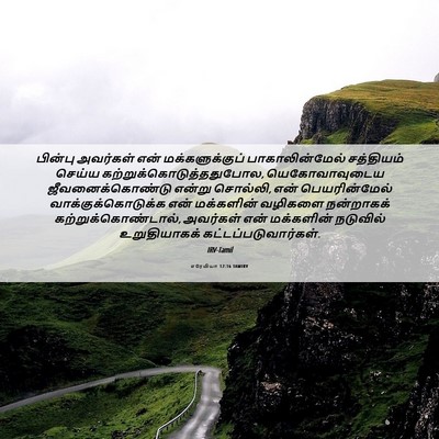 Picture 06 - எரேமியா 12:16 TAMIRV - பின்பு அவர்கள் - Bible Verse Picture