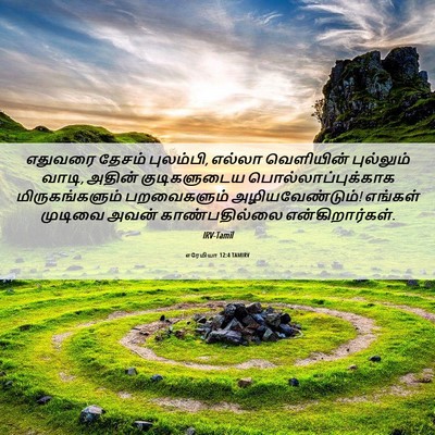 Picture 06 - எரேமியா 12:4 TAMIRV - எதுவரை தேசம் - Bible Verse Picture