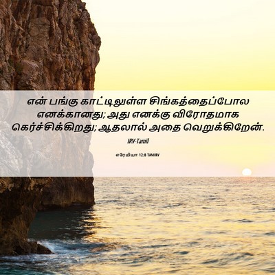 Picture 06 - எரேமியா 12:8 TAMIRV - என் பங்கு - Bible Verse Picture