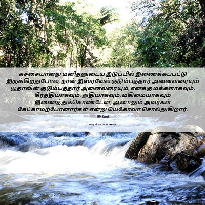 Picture 06 - எரேமியா 13:11 TAMIRV - கச்சையானது - Bible Verse Picture