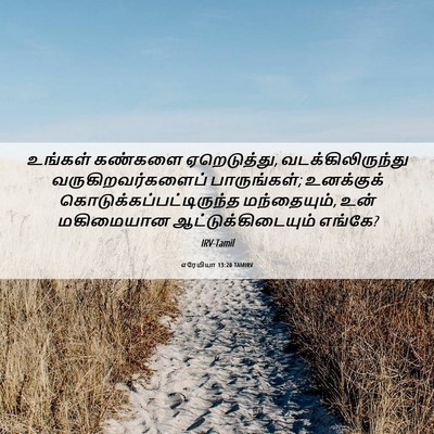 Picture 06 - எரேமியா 13:20 TAMIRV - உங்கள் கண்களை - Bible Verse Picture