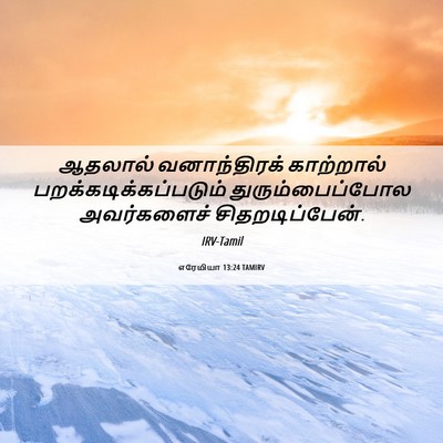 Picture 06 - எரேமியா 13:24 TAMIRV - ஆதலால் வனாந்திரக் - Bible Verse Picture