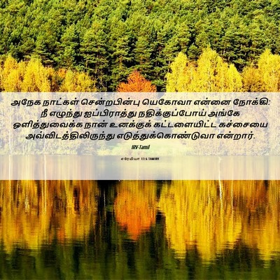 Picture 06 - எரேமியா 13:6 TAMIRV - அநேக நாட்கள் - Bible Verse Picture