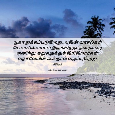 Picture 06 - எரேமியா 14:2 TAMIRV - யூதா - Bible Verse Picture