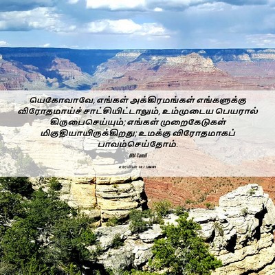Picture 06 - எரேமியா 14:7 TAMIRV - யெகோவாவே, எங்கள் - Bible Verse Picture