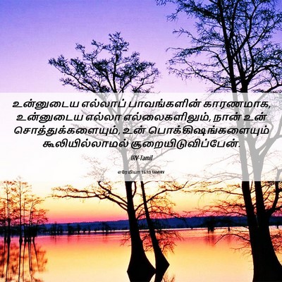 Picture 06 - எரேமியா 15:13 TAMIRV - உன்னுடைய எல்லாப் - Bible Verse Picture