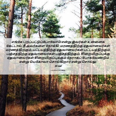 Picture 06 - எரேமியா 15:2 TAMIRV - எங்கே - Bible Verse Picture
