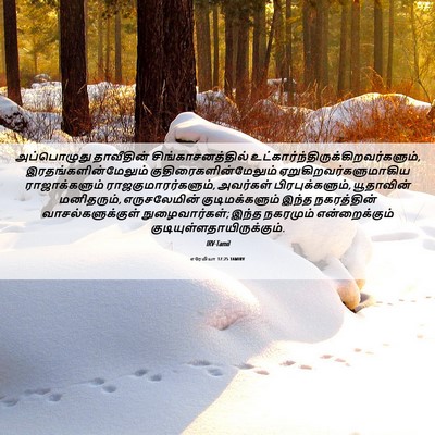 Picture 06 - எரேமியா 17:25 TAMIRV - அப்பொழுது - Bible Verse Picture