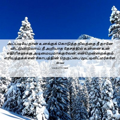 Picture 06 - எரேமியா 17:4 TAMIRV - அப்படியே நான் - Bible Verse Picture
