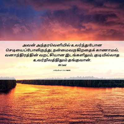 Picture 06 - எரேமியா 17:6 TAMIRV - அவன் - Bible Verse Picture