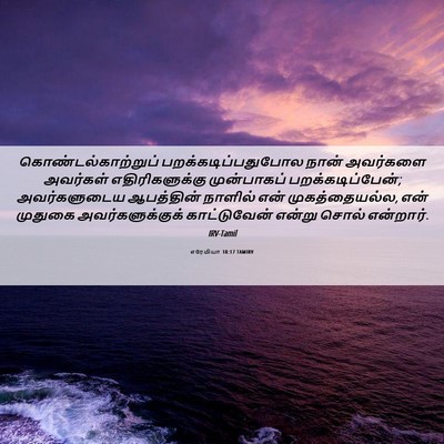 Picture 06 - எரேமியா 18:17 TAMIRV - கொண்டல்காற்றுப் - Bible Verse Picture