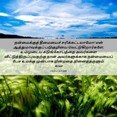 Picture 06 - எரேமியா 18:20 TAMIRV - நன்மைக்குத் - Bible Verse Picture