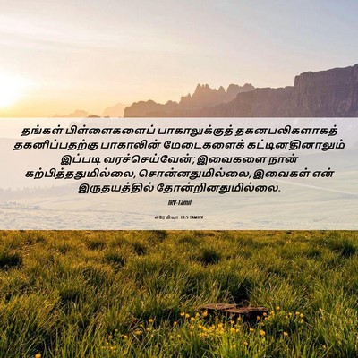 Picture 06 - எரேமியா 19:5 TAMIRV - தங்கள் - Bible Verse Picture