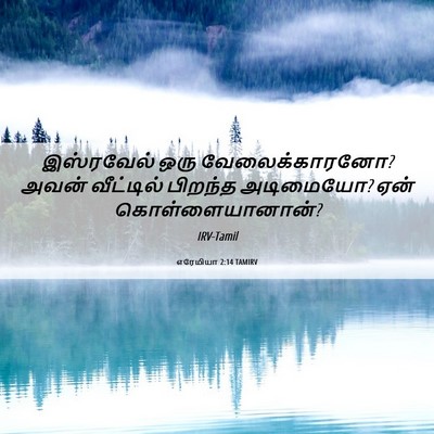 Picture 06 - எரேமியா 2:14 TAMIRV - இஸ்ரவேல் ஒரு - Bible Verse Picture